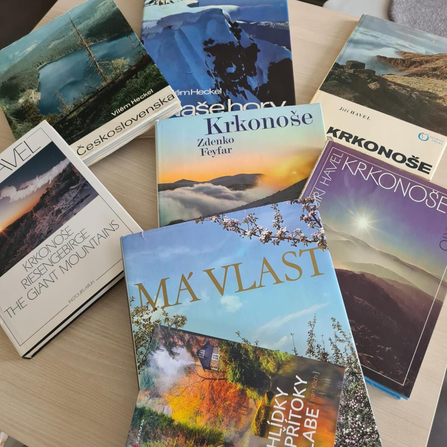 S Rodinou Do Krkonos Lejlighed Harrachov Eksteriør billede